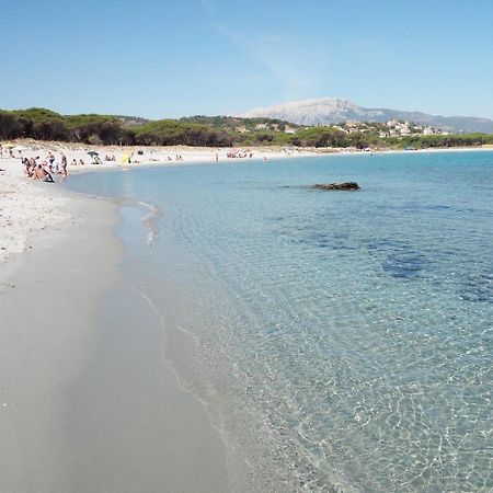 Case Vacanze Rosa ซินิสโกลา ภายนอก รูปภาพ